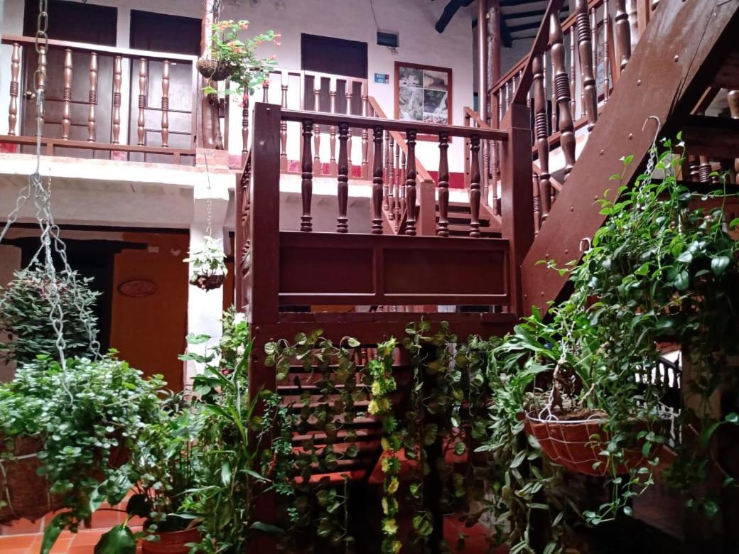 Hotel Central Graciela Valle de San José エクステリア 写真