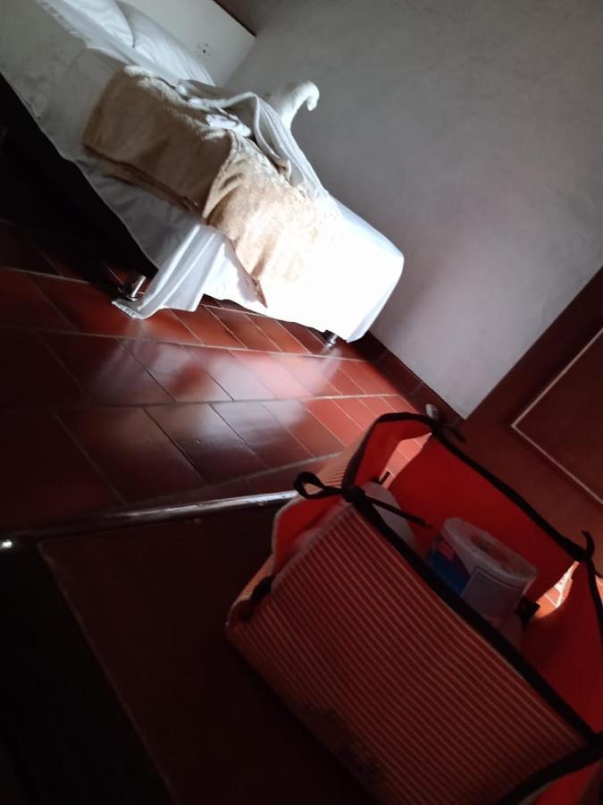 Hotel Central Graciela Valle de San José エクステリア 写真