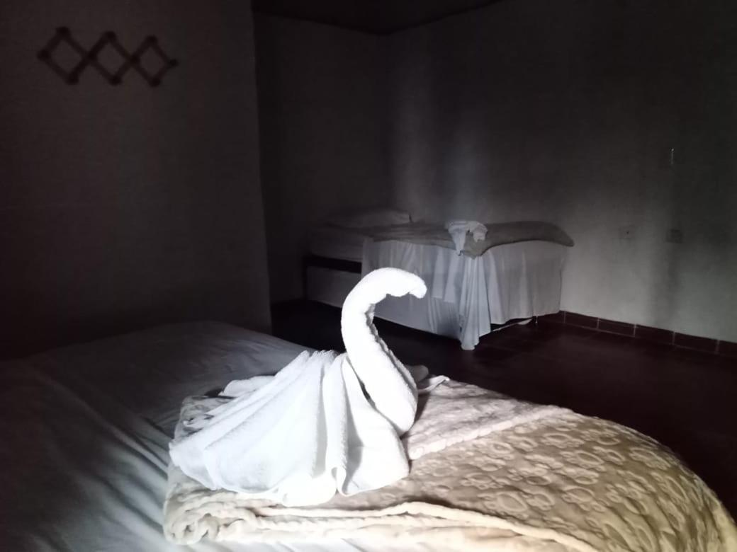 Hotel Central Graciela Valle de San José エクステリア 写真