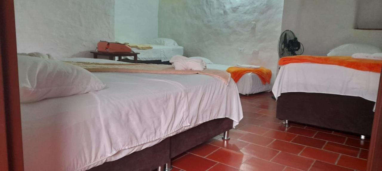Hotel Central Graciela Valle de San José エクステリア 写真