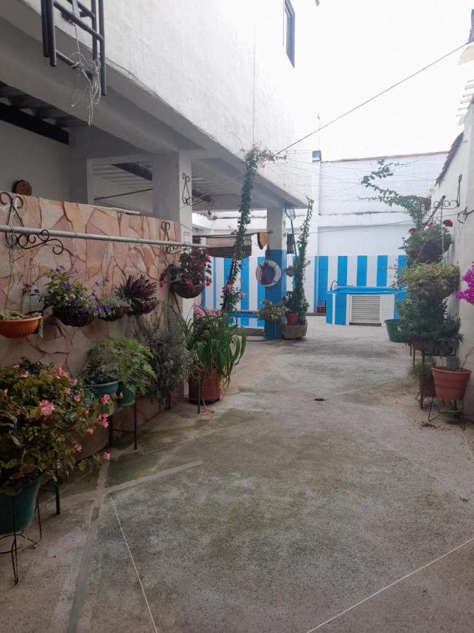 Hotel Central Graciela Valle de San José エクステリア 写真