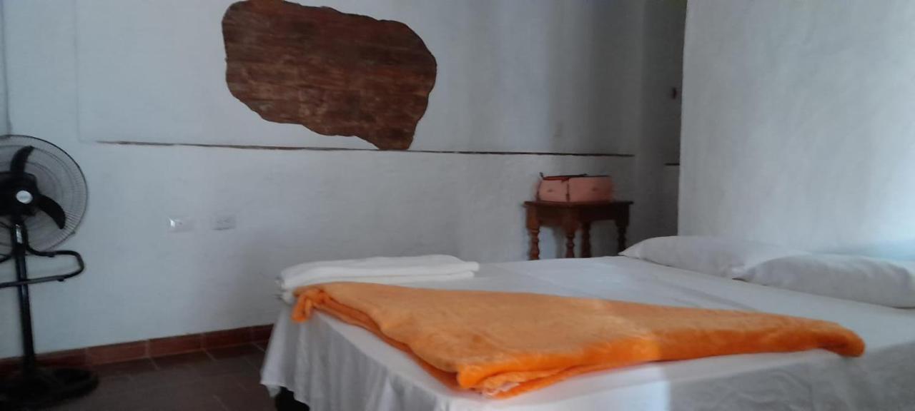 Hotel Central Graciela Valle de San José エクステリア 写真
