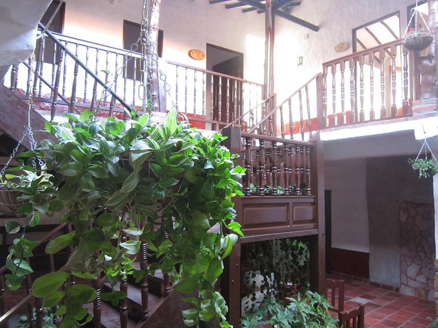 Hotel Central Graciela Valle de San José エクステリア 写真